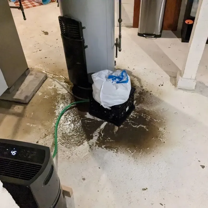 Sewage Backup Cleanup Service in Chewelah, WA